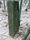 image0021