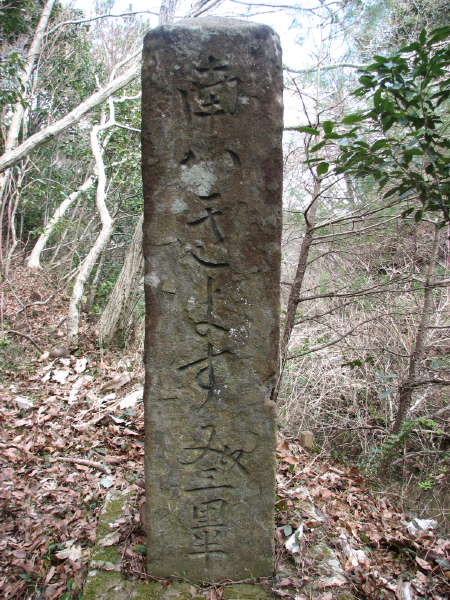 image0003