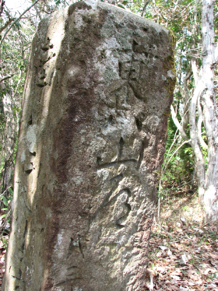 image0005