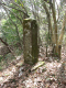 image0000