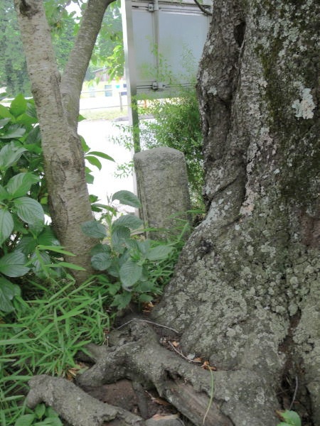 image0011