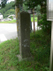 image0003