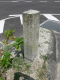 image0013