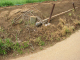 image0013