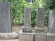 image0008