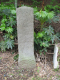 image0010