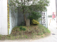 image0005
