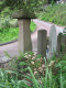 image0008