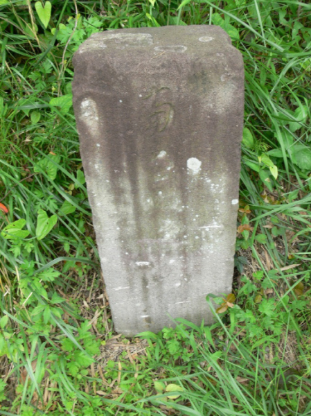 image0005