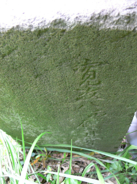 image0008
