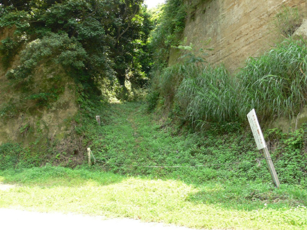 image0013