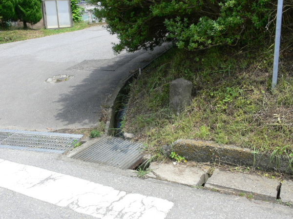image0050