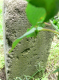 image0003