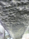 image0012