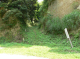 image0013