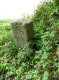image0015