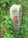 image0016