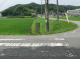 image0017