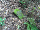 image0024