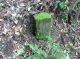 image0025