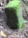 image0026