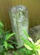 image0033