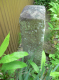 image0034