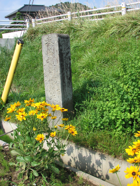 image0009