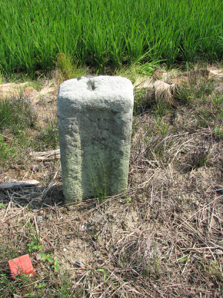 image0013