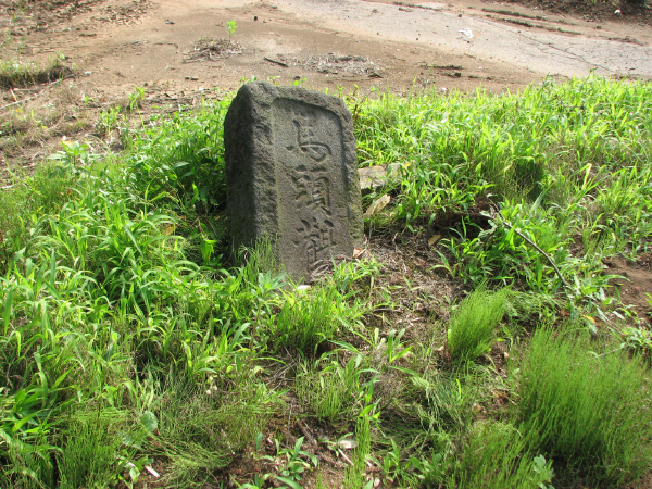 image0035