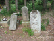 image0005