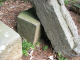 image0006