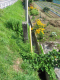 image0008