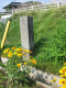 image0009