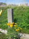 image0011