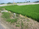 image0012