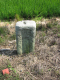 image0013