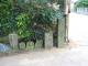 image0019