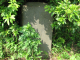 image0038