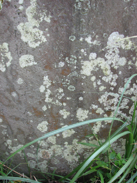 image0006