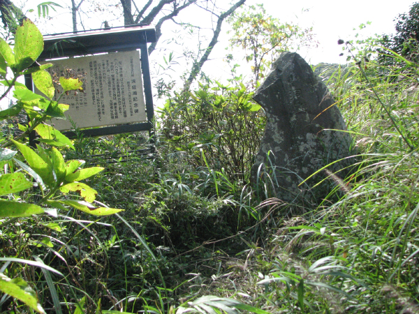 image0008