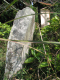 image0005