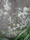 image0006