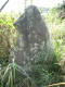 image0007