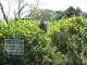 image0009