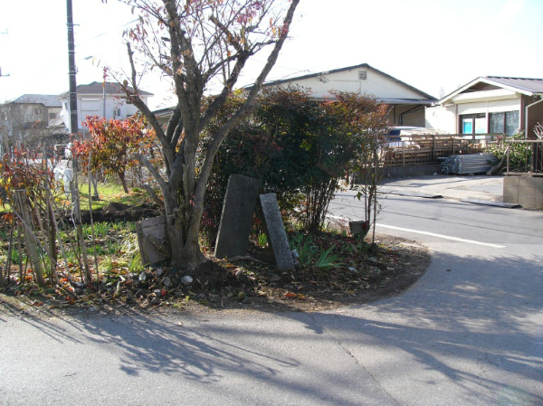 image0011