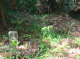image0004