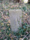 image0017