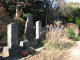 image0000