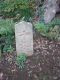 image0014